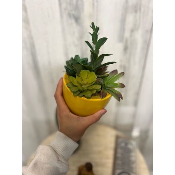 Sage bundle - Picture 10 of 12